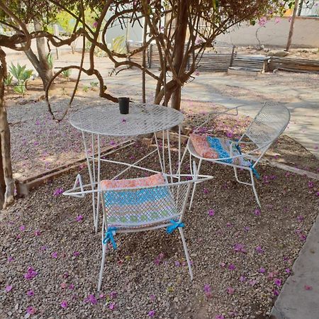 Oasis Shanti Backpackers Оудсхорн Экстерьер фото